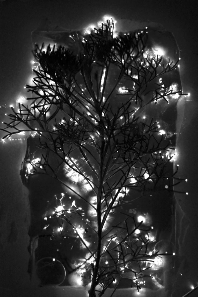wormwood2